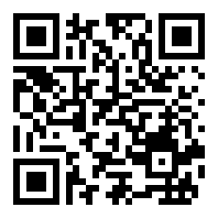 一套正宗的贵州玩法麻将地道麻将